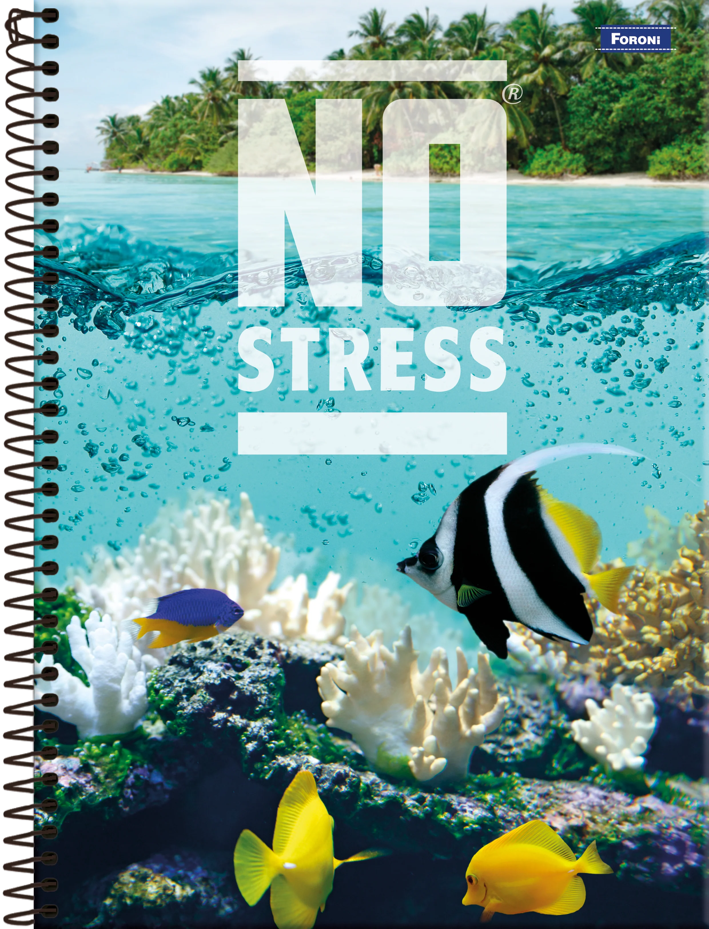 CATEDRA ESP. GDE. 10 DIV. 160H NO STRESS - Image 2