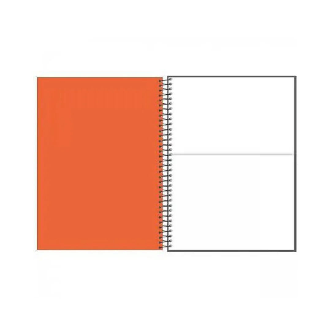 CATEDRA ESP. GDE. 10 DIV. 160H FLUOR MIX SOFT FSC - Image 5