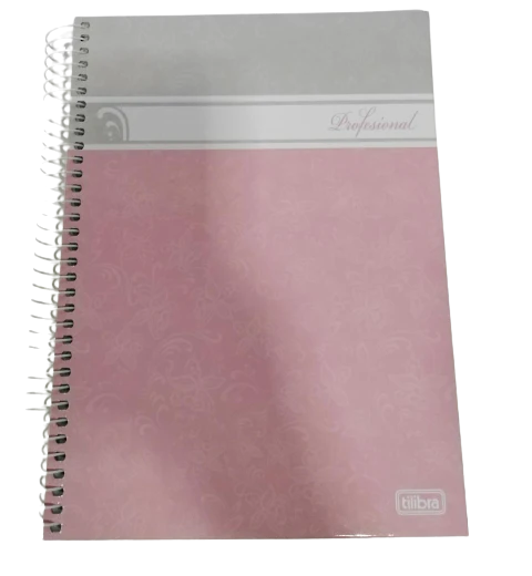 CATEDRA ESP. GDE. 10 DIV. 196H PROFESIONAL