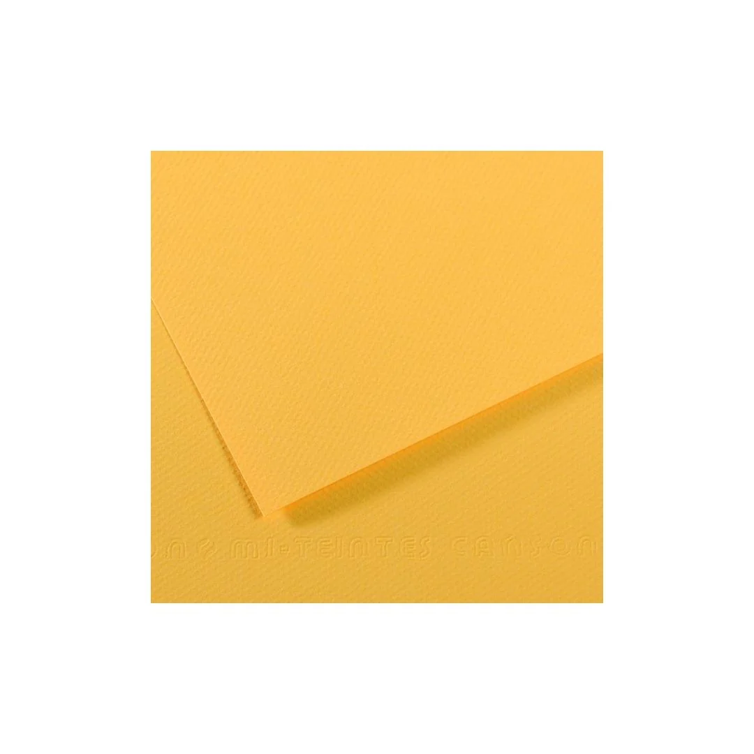 PAPEL MI-TEINTES (50 X 65 cm)BOTON DE ORO