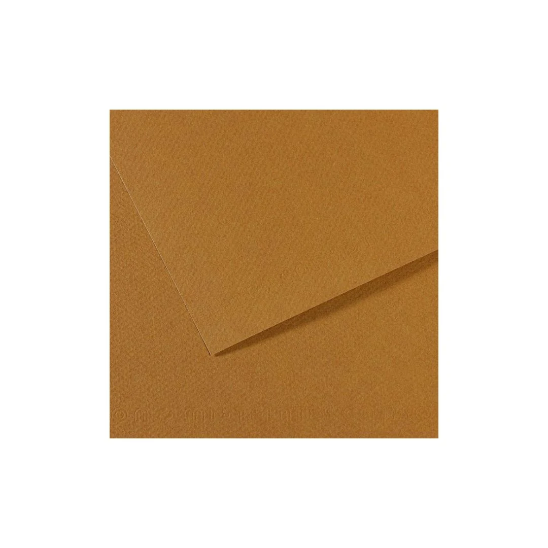 PAPEL MI-TEINTES (50 X 65 cm)CAUCHO