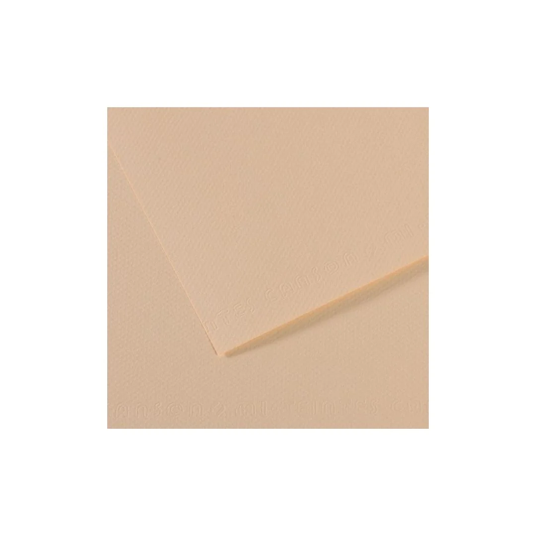 PAPEL MI-TEINTES (50 X 65 cm)COQUILLE