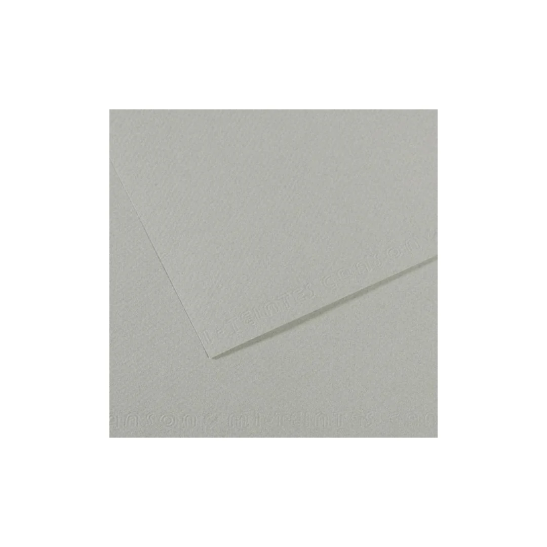 PAPEL MI-TEINTES (50 X 65 cm)GRIS CIELO