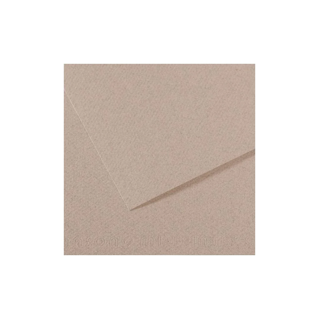 PAPEL MI-TEINTES (50 X 65 cm)GRIS CLARO