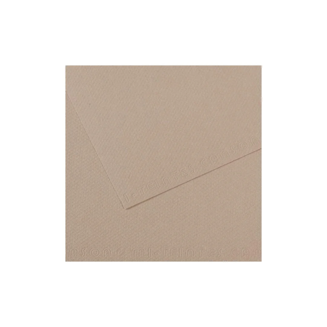 PAPEL MI-TEINTES (50 X 65 cm)GRIS FRANELA