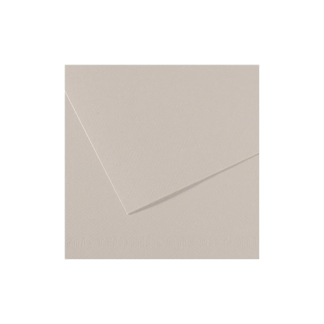 PAPEL MI-TEINTES (50 X 65 cm)GRIS PERLA