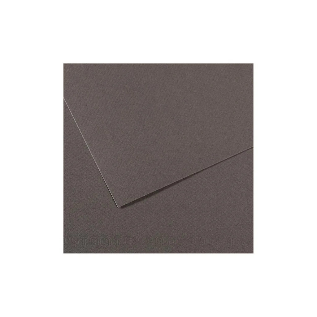 PAPEL MI-TEINTES (50 X 65 cm)GRIS PIZARRA