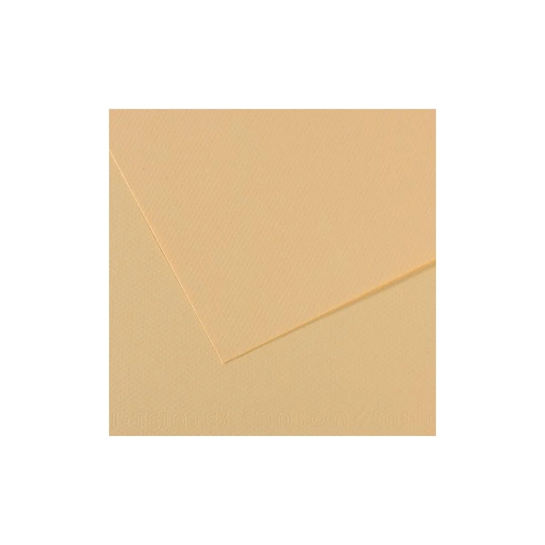 PAPEL MI-TEINTES (50 X 65 cm)LIQUEN