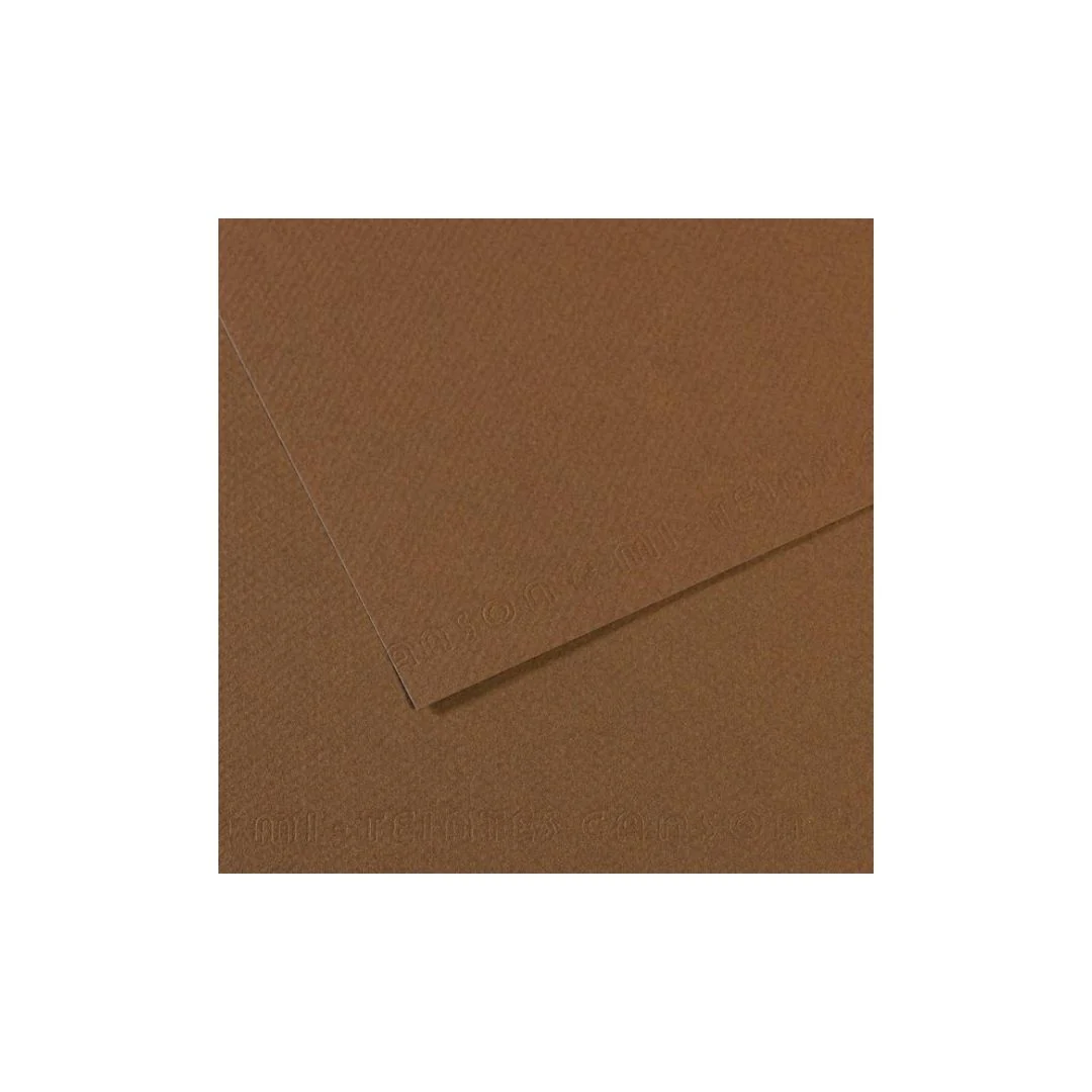 PAPEL MI-TEINTES (50 X 65 cm)SEPIA