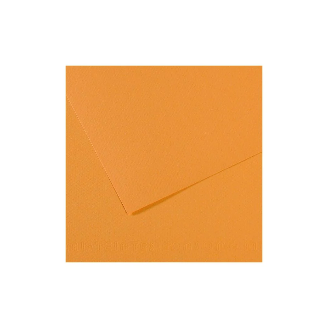 PAPEL MI-TEINTES (50 X 65 cm)TIERRA SIENA