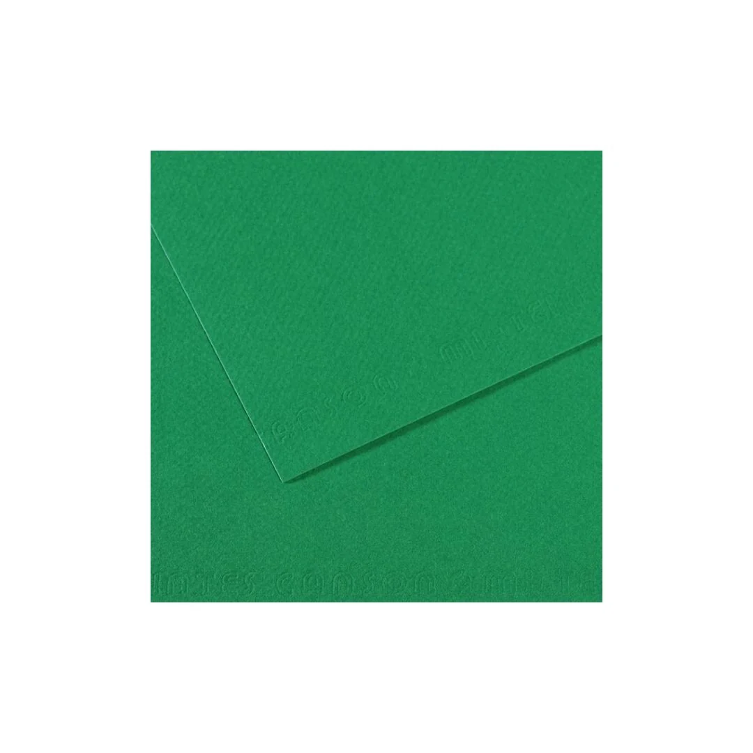 PAPEL MI-TEINTES (50 X 65 cm)VERDE BILLAR