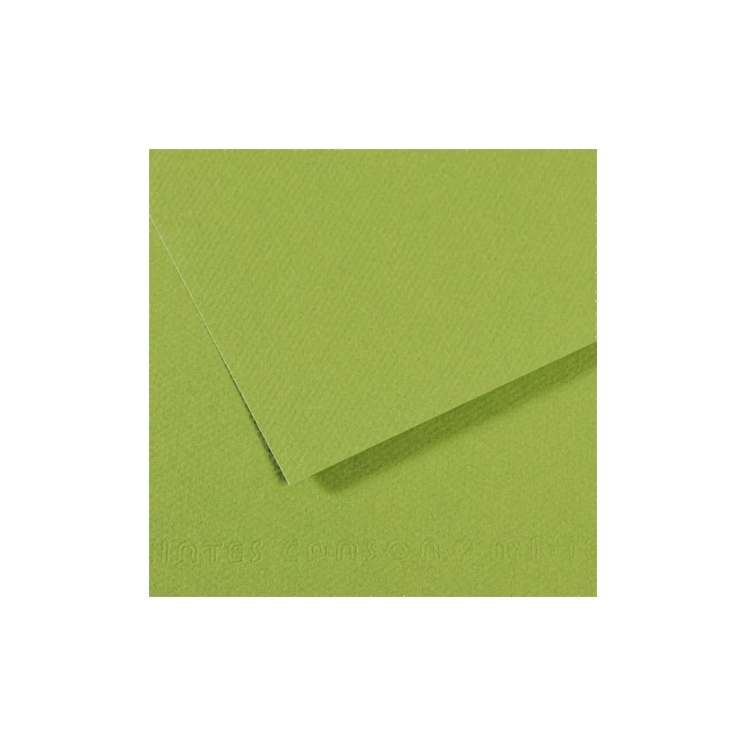 PAPEL MI-TEINTES (50 X 65 cm)VERDE MANZANA